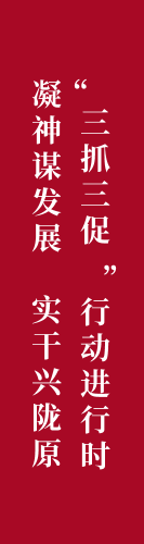 “三抓三促”行动进行时